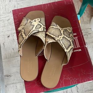 Everlane the day crossover